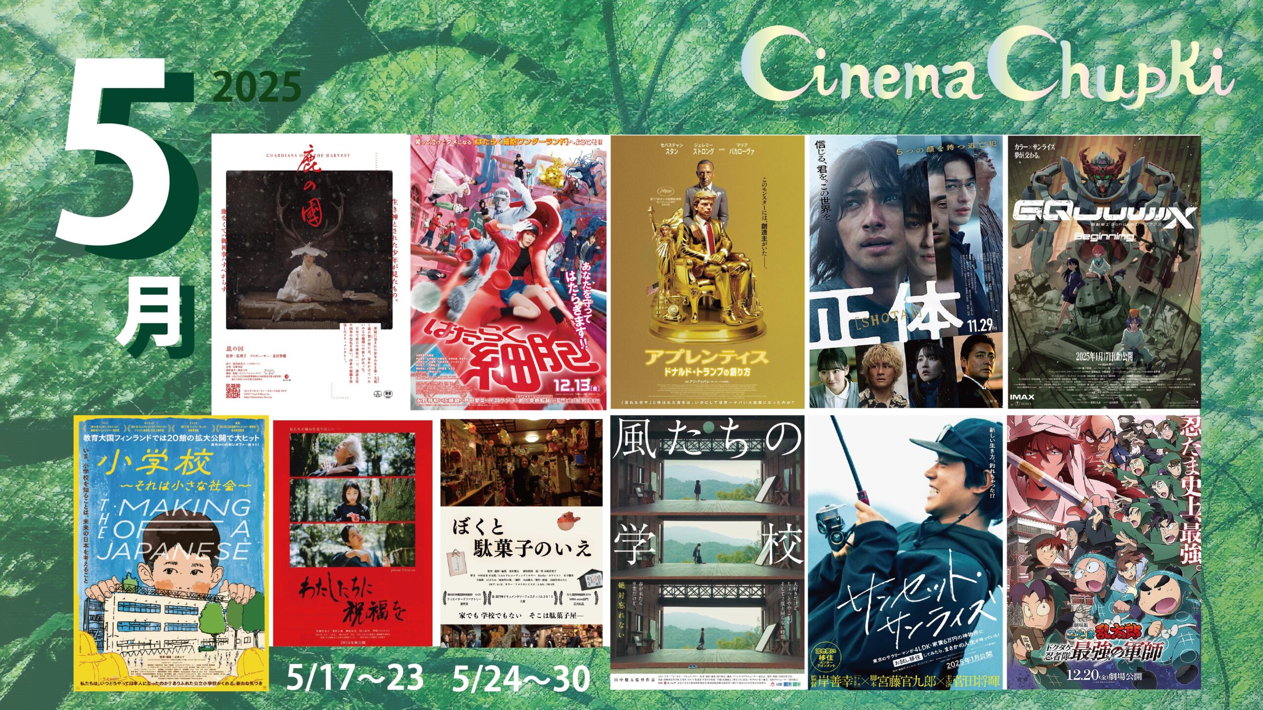2025年5月の上映スケジュール